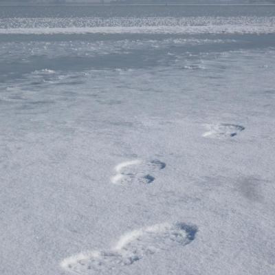 lac st point